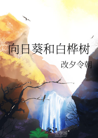 向日葵和白桦树