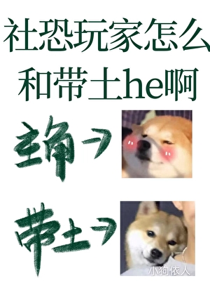 社恐玩家怎么和带土he啊