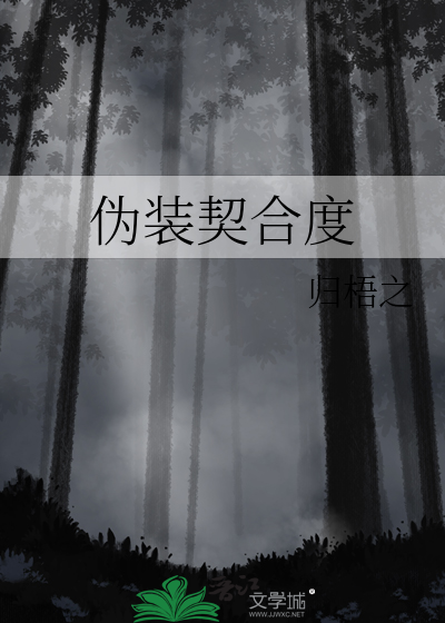 伪装契合度