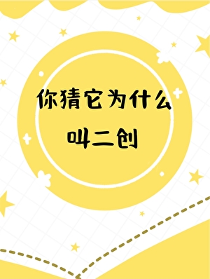 ［主排锁］你猜它为什么叫二创？
