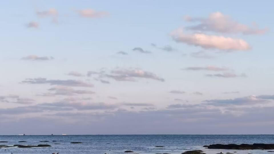 [歌剧魅影]老公小猫热炕头，是女人的至高追求