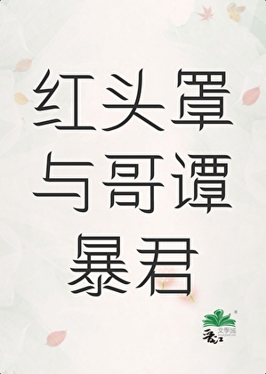 [综英美]红桶与哥谭暴君