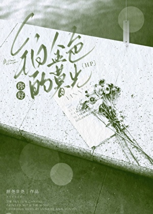 [HP]你好，铂金色的暮光