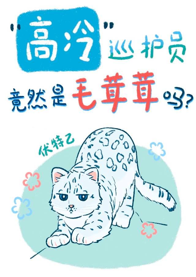 高冷巡护员竟然是毛茸茸吗？