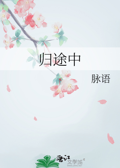 归途中