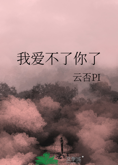 我爱不了你了