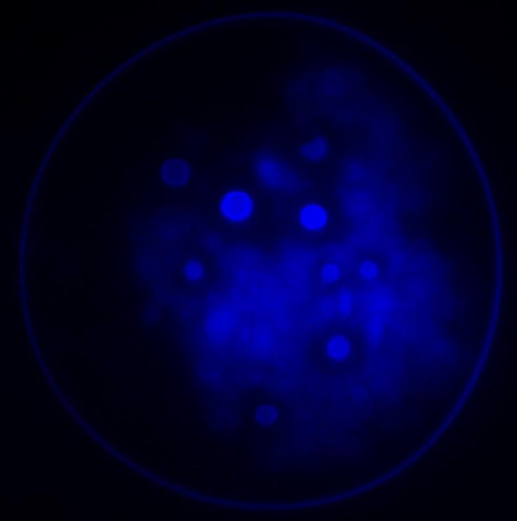 [快穿]这个古神系统就只会让人长触手