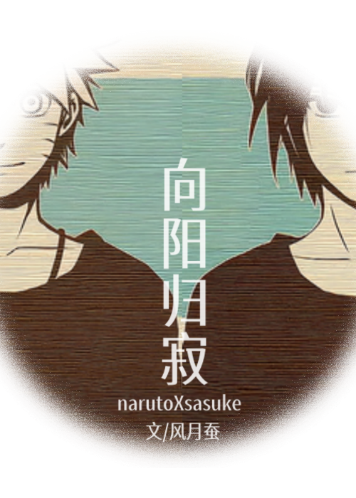 向阳归寂[鸣佐双叛逃]
