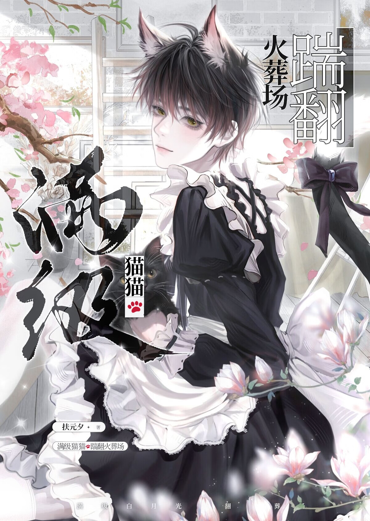 漂亮猫猫扇我一百零八掌